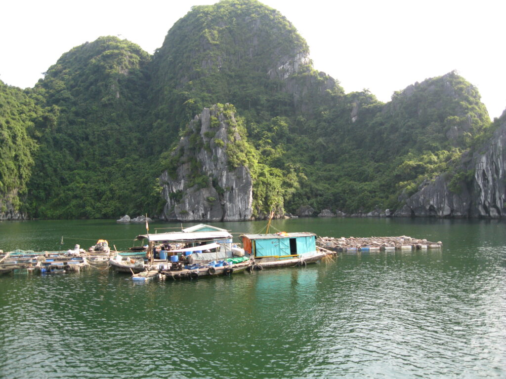 Floating Village in Lan Ha bay