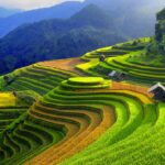 3 Days 2 Nights Sapa Trekking Tour from Hanoi