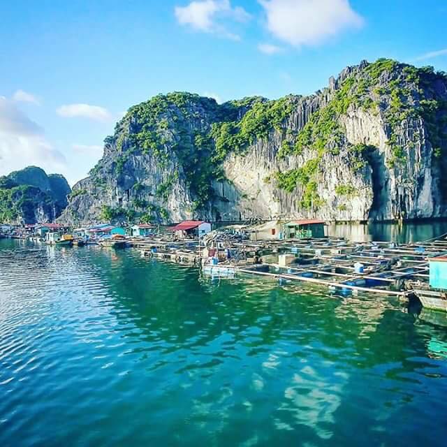 Lan Ha Bay Floating Village