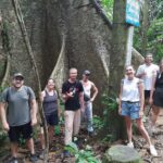 From Ninh Binh Small Group Discover Cuc Phuong National Park