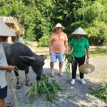 Hanoi - Cat Ba island - Ninh Binh, 3Days 2Nights Tour
