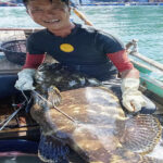 Fishing Tour in Lan Ha Bay from Cat Ba island