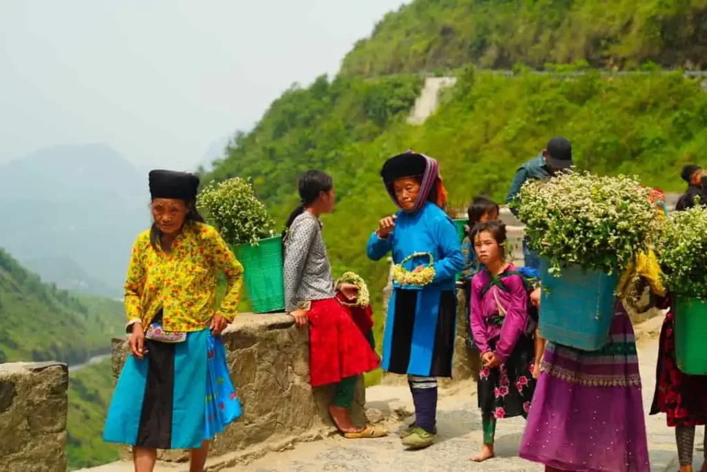 Ha giang