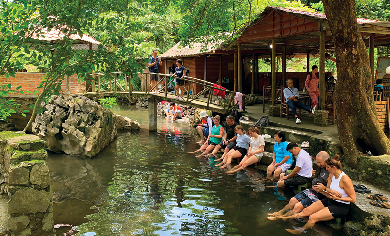 Viet Hai Village Fish Massage