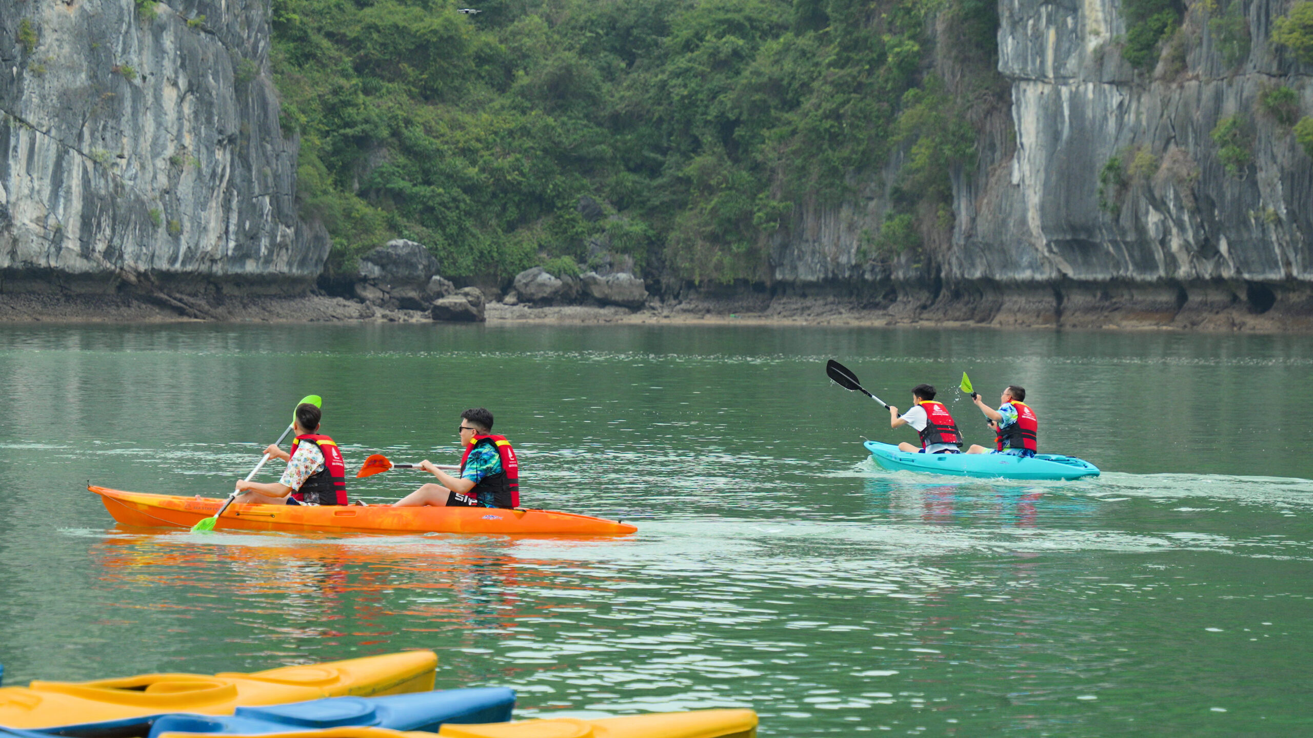 Cat Ba island Half Day Boat Tour