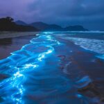 Lan Ha Bay Sunset and Night Time Kayaking Plankton