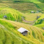 Hanoi - Sapa - Cat Ba island - Ninh Binh, Package 5 Days 4 Nights