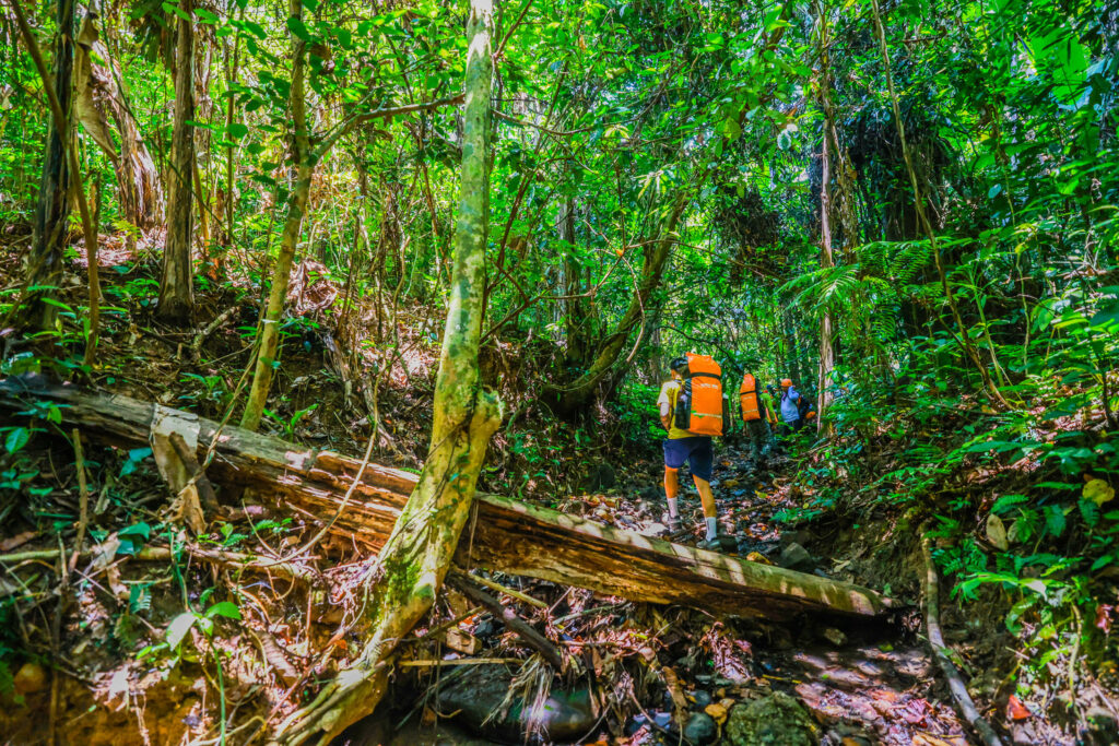 Phong Nha Adventure - Full moon Travel