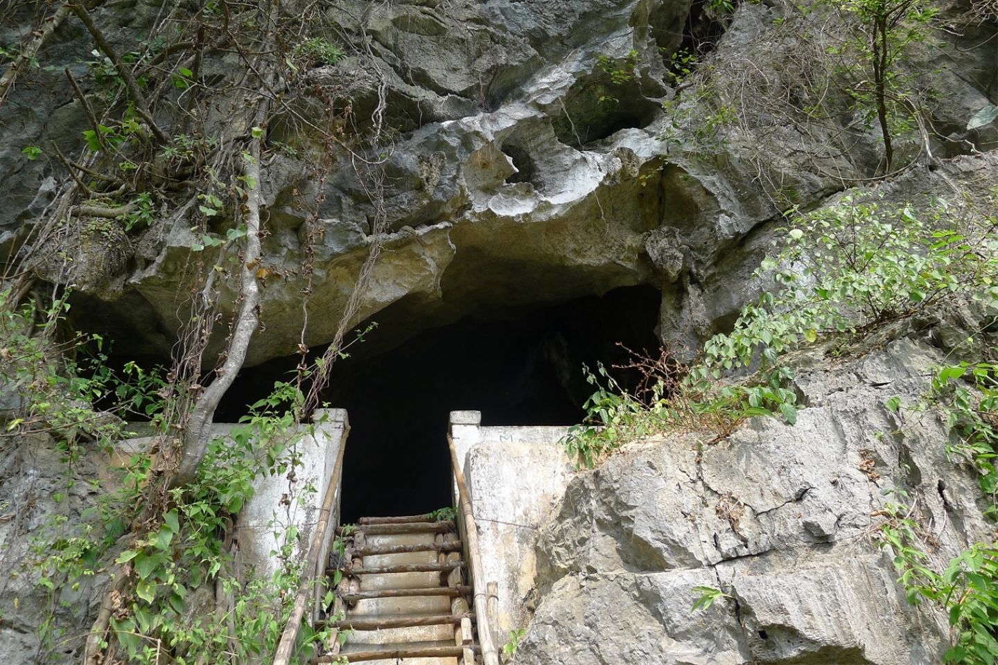 Hospital Cave in Cat ba National Park