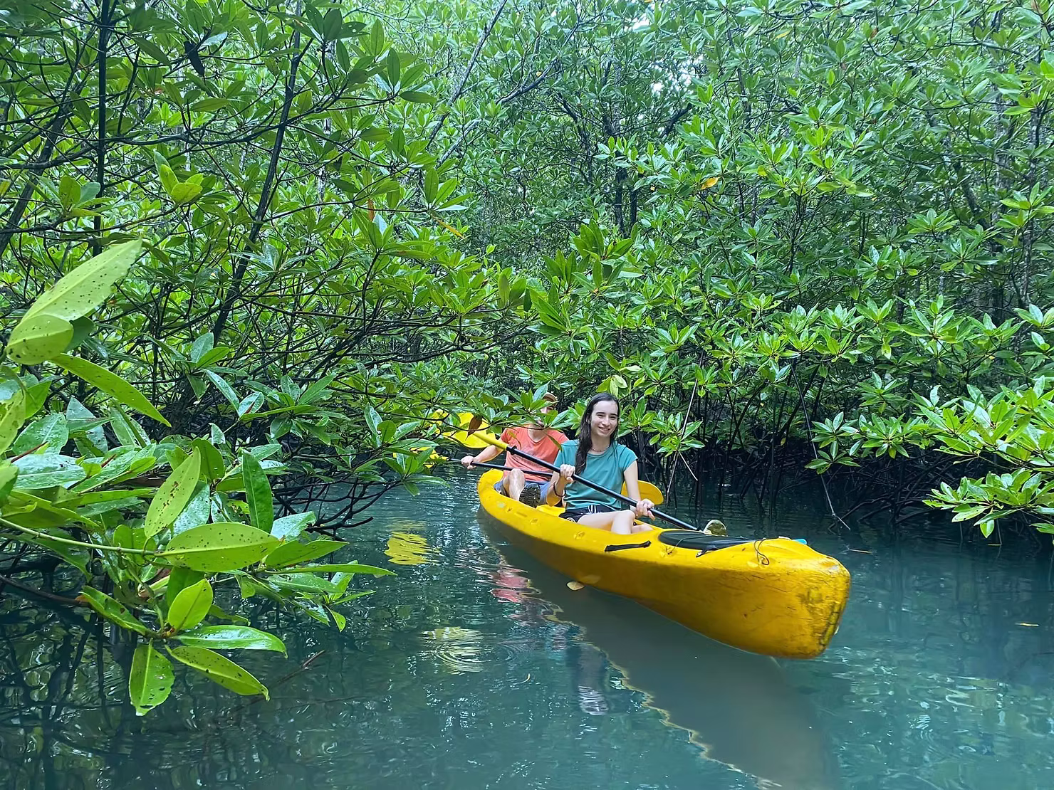 Cat Ba Halfday Mangrove