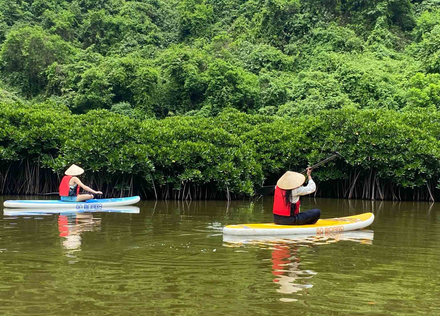 Kayaking in Mangrove Cat Ba