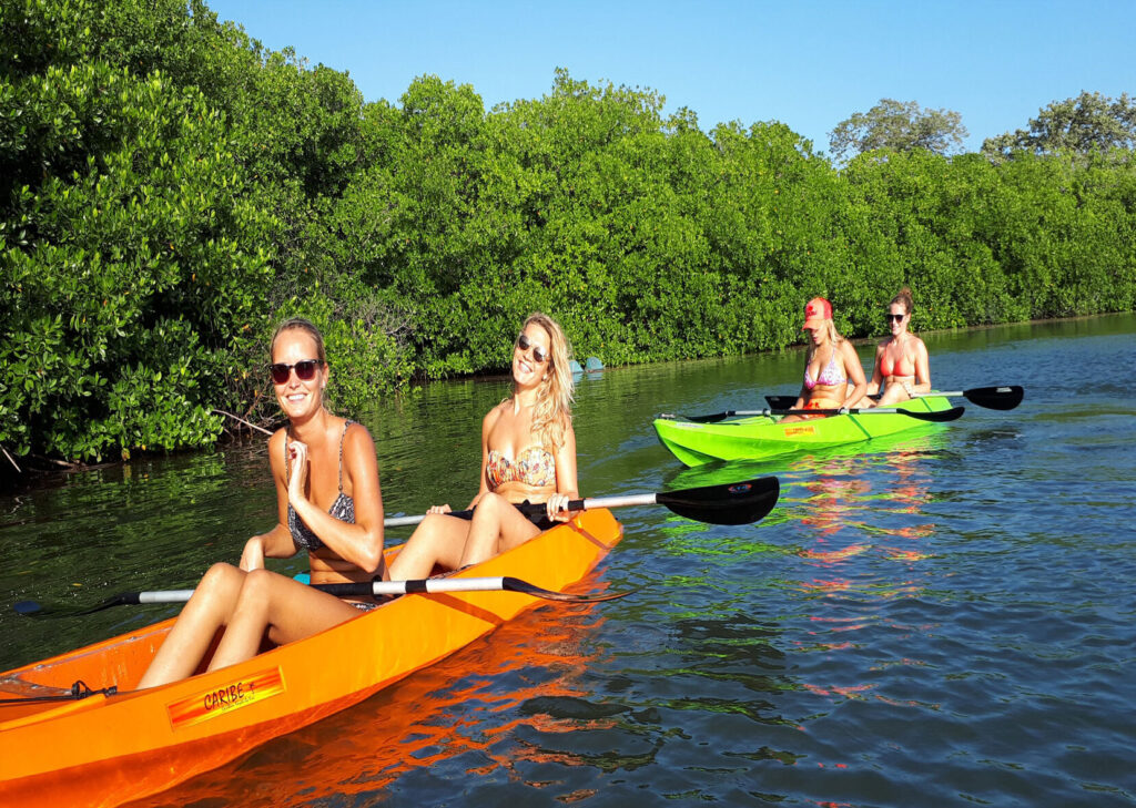 Cat Ba Mangrove Kayak