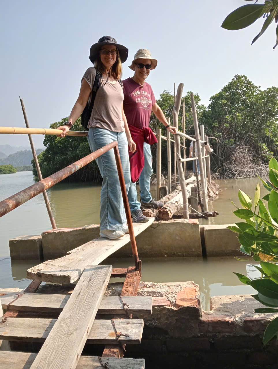 Cat Ba Mangrove