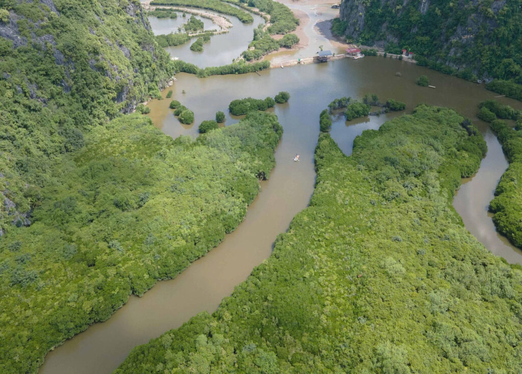 Cat Ba Half Day Adventure: Kayak Mangrove & Explore Thien Long Cave
