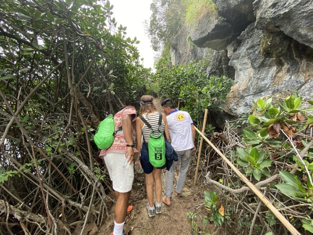 Dong Thien Long Cat Ba