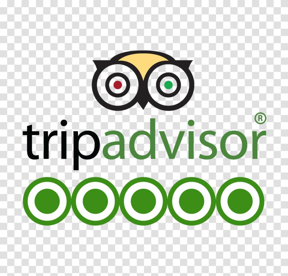 Tripadvisor Rating