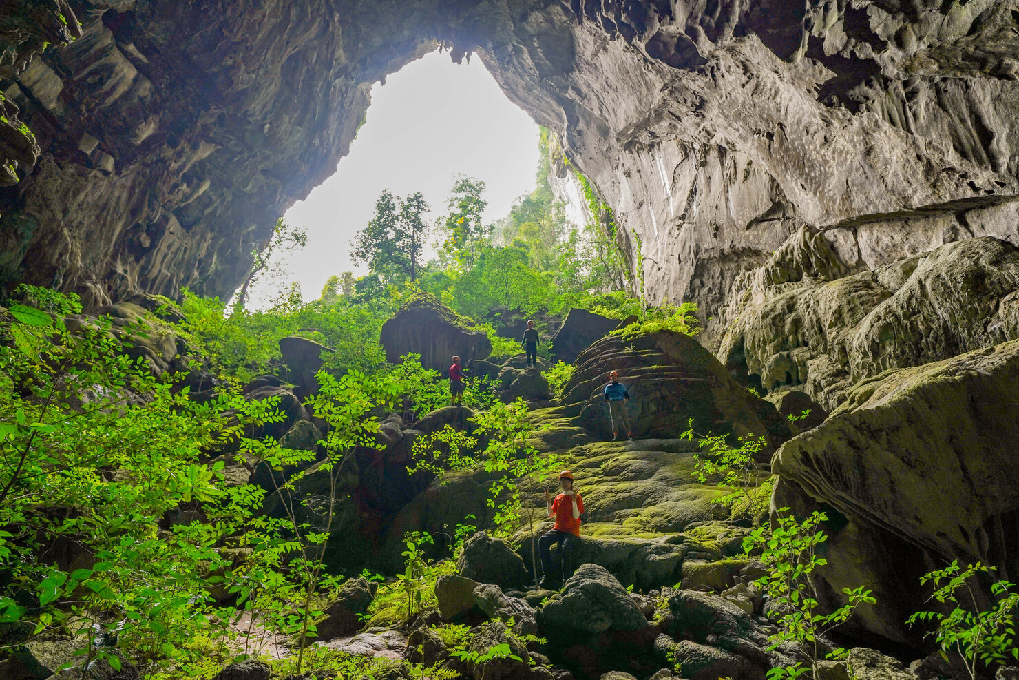 Elephant Cave in Phong Nha Trekking Tour