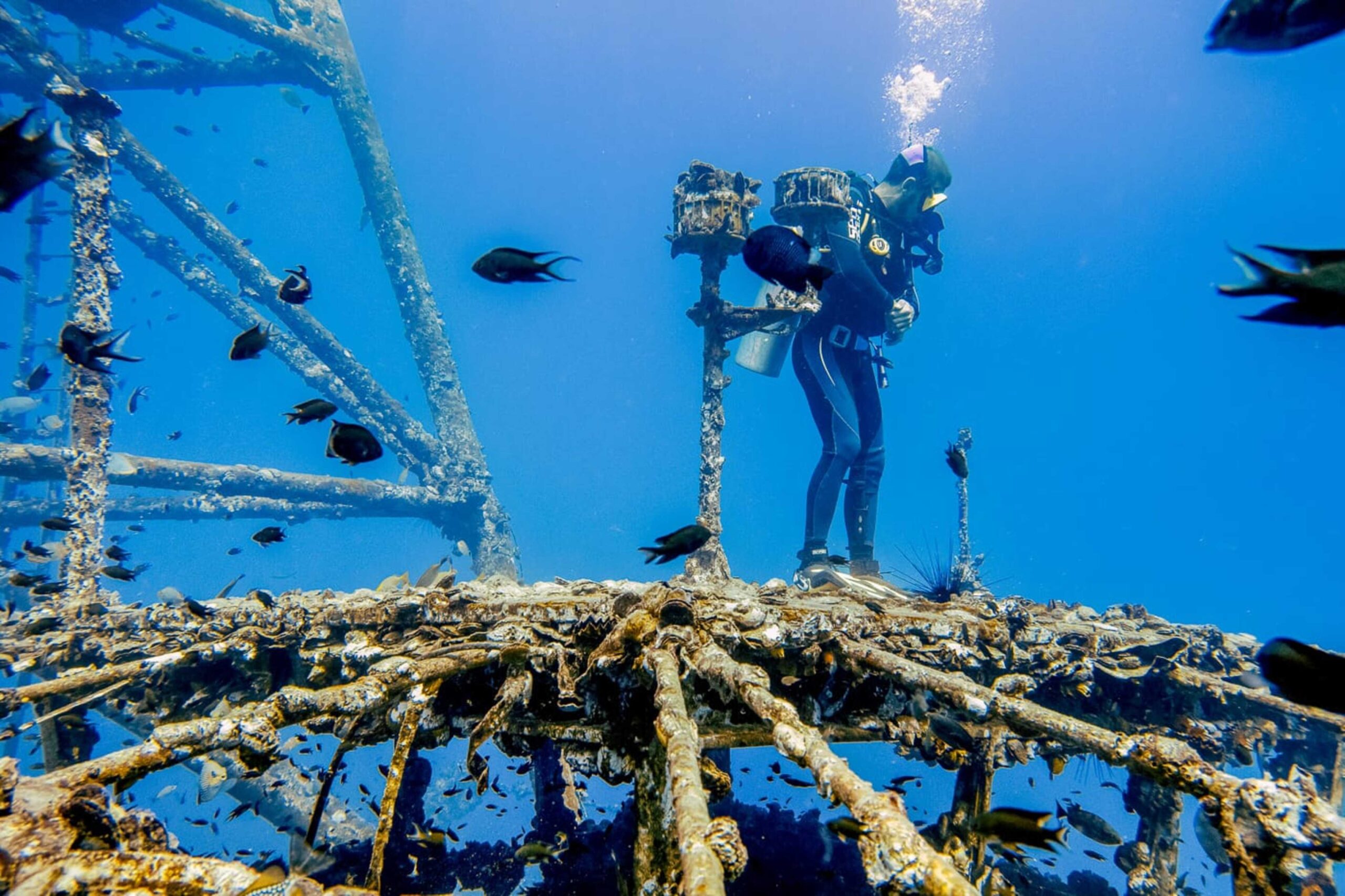 Cat Ba island Diving Tour