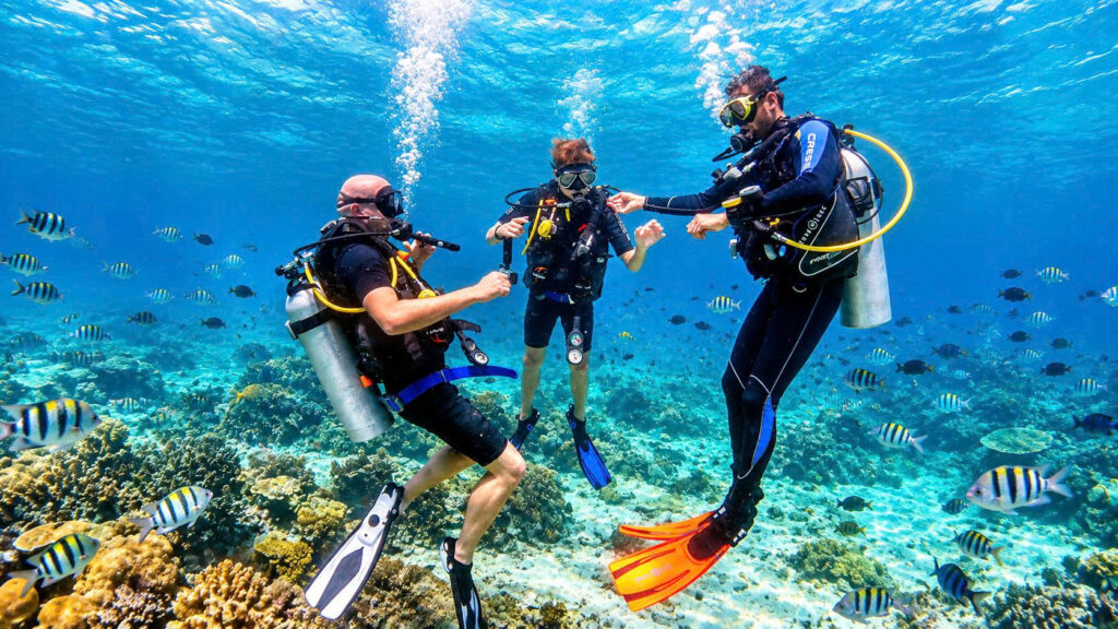 Cat Ba island Scuba Diving Adventure