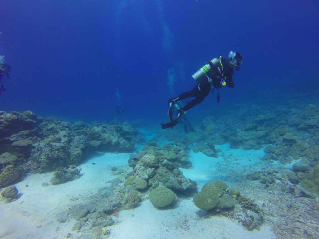 Cat Ba island Scuba Diving Trip