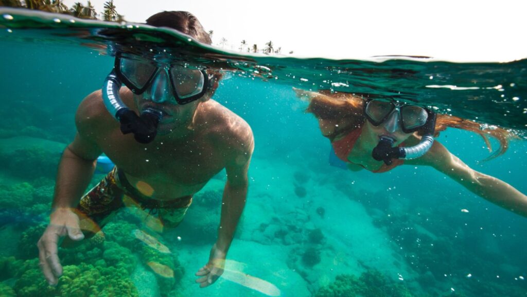 Lan Ha Bay Diving Tour