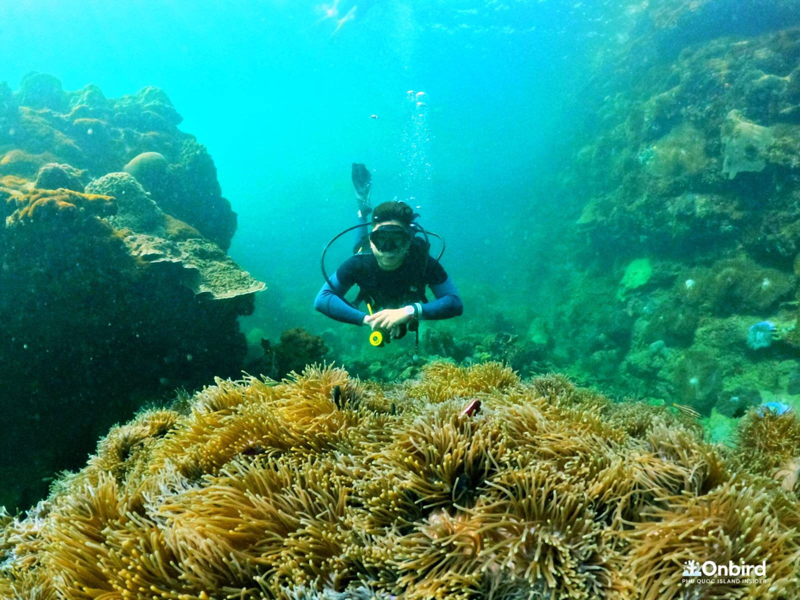 Cat Ba island Scuba Diving Adventure in Lan Ha Bay