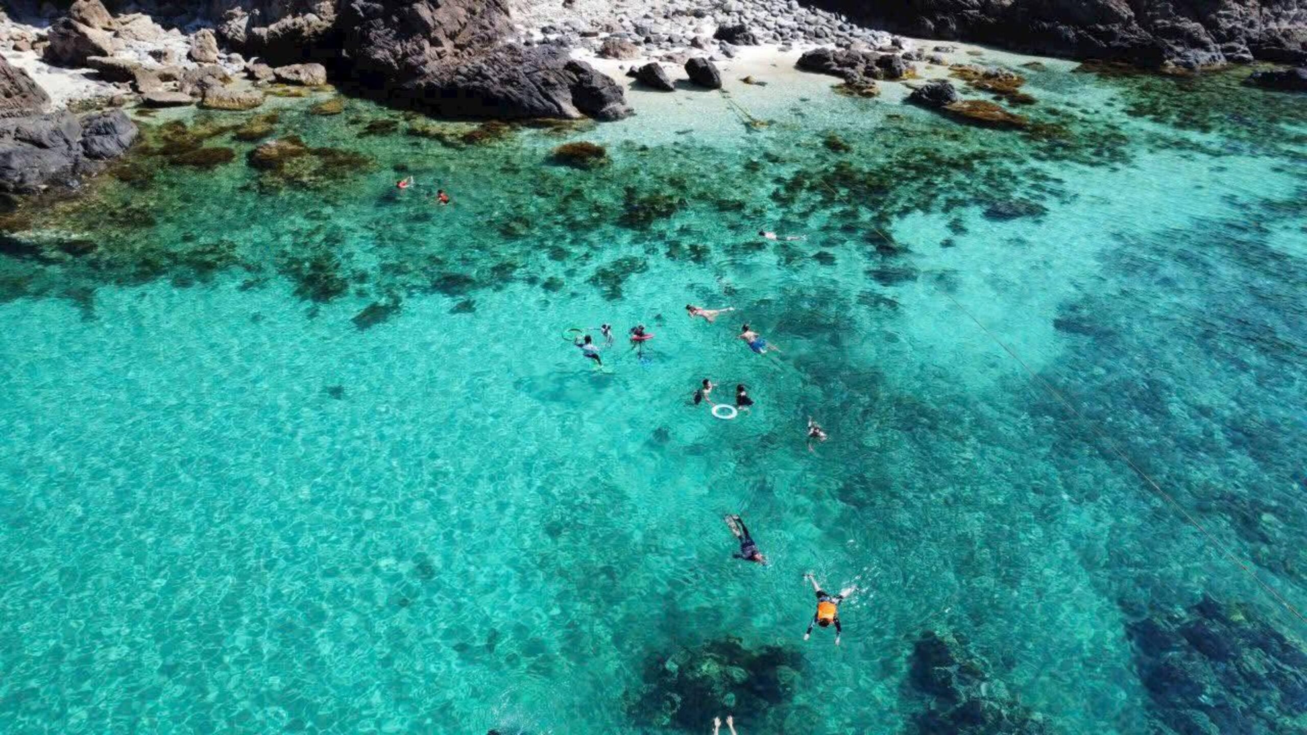 Snorkeling in Lan Ha bay